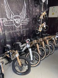 -Early Rider 儿童自行车(蓝色港湾店)