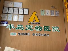 -半岛宠物医院24小时·内窥镜·牙科·碎石中心(府城大道店)