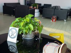 -途虎养车技术中心(上海浦江店)