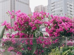 -听香·678茶铺(猛追湾店)