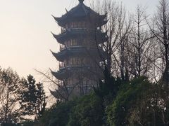 -红梅公园