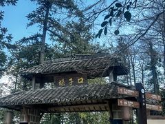 -莫干山风景区