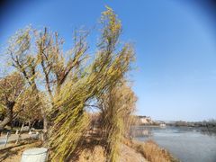 -函谷关历史文化旅游区