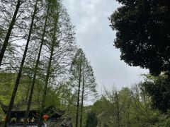 -青城山