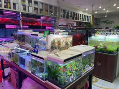 -双季花艺园艺市场(浦东店)