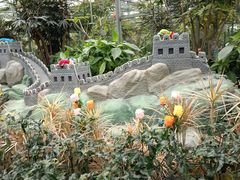 -南宫五洲植物乐园