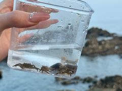 -银沙滩浴场