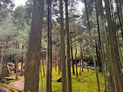 -玉苍山国家森林公园