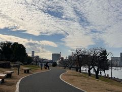 -台场海滨公园船码头
