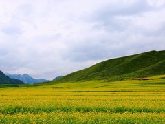 -扁都口生态休闲旅游区