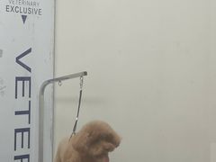-芭比堂宠物医院·全科爱猫医院·仁德分院