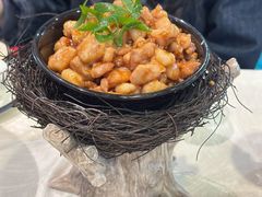 -丁老爷子苏香圆