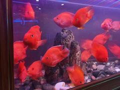 -亮电竞·棋牌(杨行店)