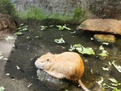 -青青世界