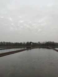 -水八仙生态园