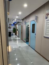 -碧莲盛不剃发植发