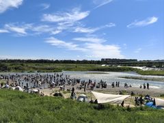 -绿堤公园