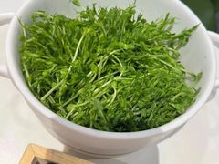 -烹然四季椰子鸡火锅(姚家园万象汇店)
