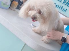 -佳雯宠物医院·皮肤科·内外科(春晓路分院)