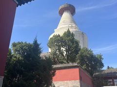-妙应寺白塔