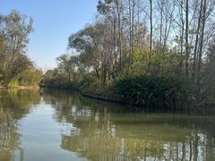 -溱湖国家湿地公园