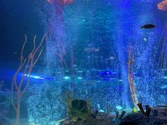 -沈阳海洋探索中心