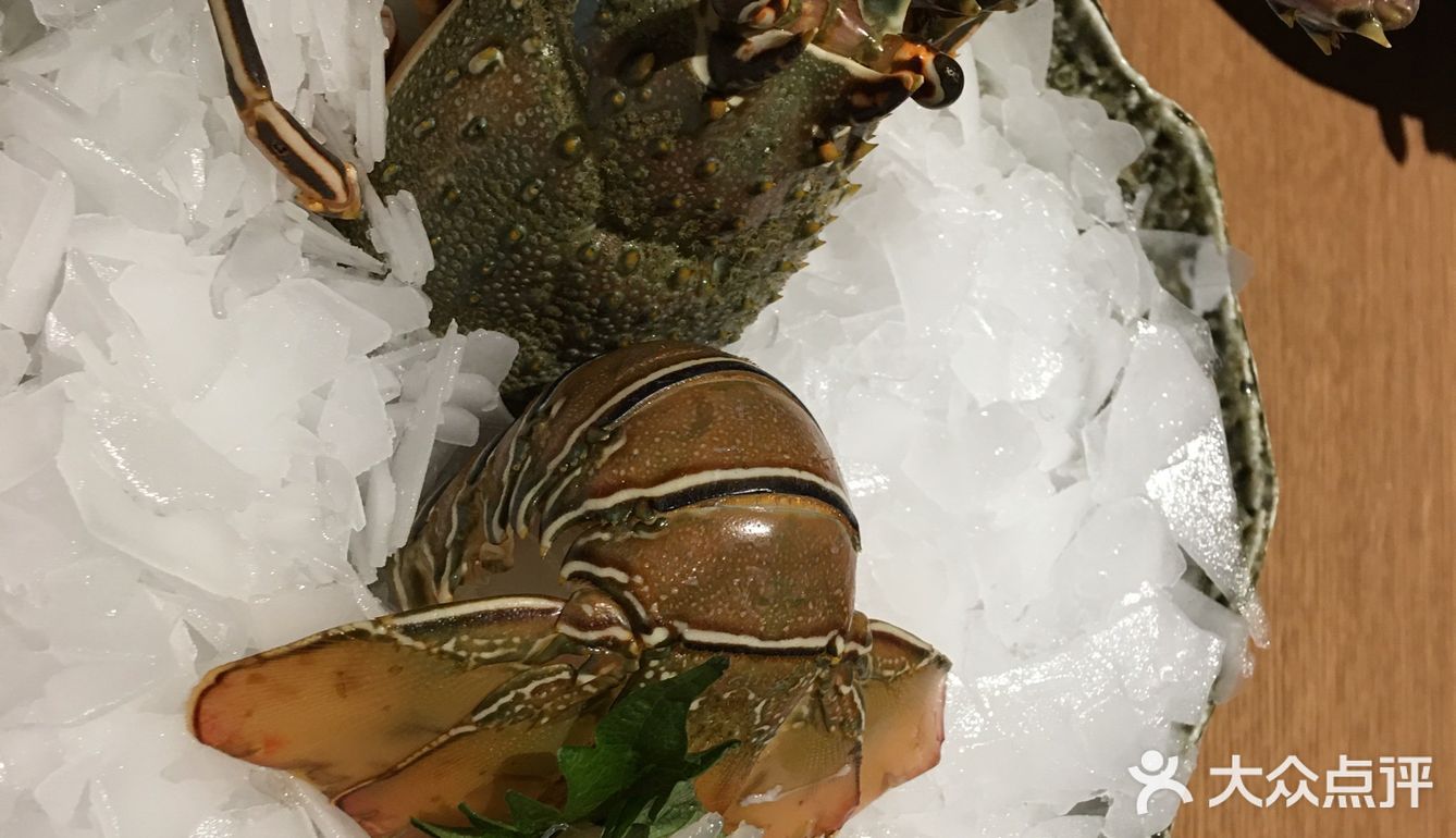 圣诞大餐选择日料放题，芥末圣诞浪漫旅程