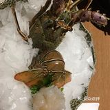 圣诞大餐选择日料放题，芥末圣诞浪漫旅程