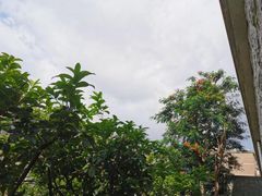 -平安（深圳）金融教育培训中心