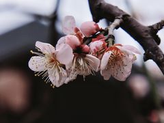 -静安雕塑公园