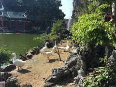 -广东圆玄道观