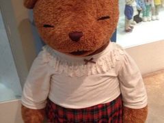 -济州岛泰迪熊博物馆