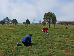 -汉长安城未央宫国家考古遗址公园