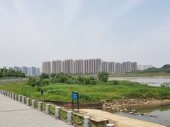 -黑色经典臭豆腐·湖南特产(太平街口店)