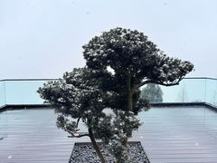 -太阳湾风景区