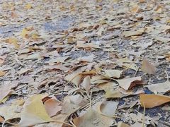 -辽宁大学(崇山校区)