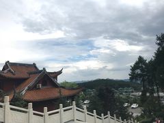 -铁山坪森林公园