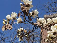 -北京贵宾楼饭店 红墙咖啡厅