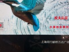 -万达影城(闵行颛桥万达广场杜比影院店)