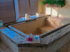 -春晖园度假酒店温泉