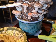 活体菌菇-捞王锅物料理(四川北路店)