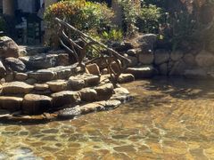 -天芳悦潭度假村温泉