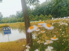 -金谷域澳洲庄园