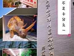 -中国第四纪冰川遗迹陈列馆