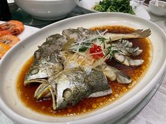 -华盛丰温州大排档(东三环南路店)