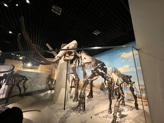 -国家自然博物馆