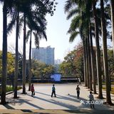 打卡全世界最大的"盖世金牛"雕塑