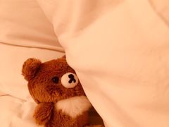 -新高轮格兰王子大酒店