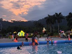 -东南花都花博园