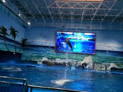 -多彩贵州城极地海洋世界